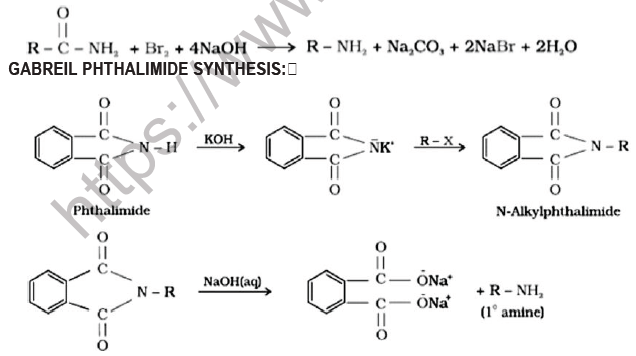 CBSE Class 12 Chemistry Amines Board Exam Notes-2