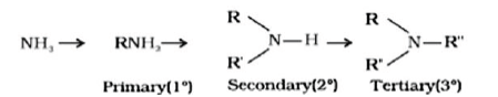 CBSE Class 12 Chemistry Amines Board Exam Notes