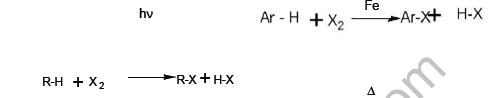 CBSE Class 12 Chemistry Haloalkanes and Haloarenes Board Exam Notes