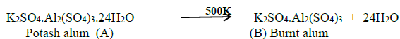 CBSE Class 12 Chemistry P block elements I Important Questions and