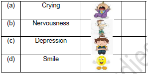 CBSE Class 2 English A Smile Worksheet Set A5