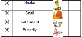 CBSE Class 2 English Storm in the Garden Worksheet Set A