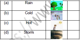 CBSE Class 2 English Storm in the Garden Worksheet Set B-2