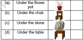 CBSE Class 2 English Storm in the Garden Worksheet Set B-3