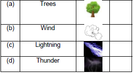 CBSE Class 2 English Storm in the Garden Worksheet Set B-5