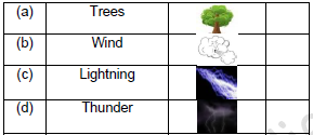 CBSE Class 2 English Storm in the Garden Worksheet Set C-5