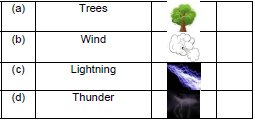 CBSE Class 2 English Storm in the Garden Worksheet Set D-5