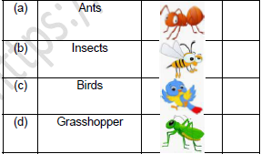 CBSE Class 2 English The Grasshopper and The Ant Worksheet Set A4