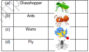 CBSE Class 2 English The Grasshopper and The Ant Worksheet Set C3