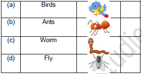 CBSE Class 2 English The Grasshopper and The Ant Worksheet Set C5