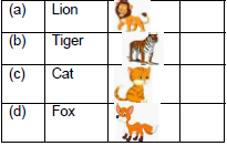 CBSE Class 2 English The Tiger and The Mosquito Worksheet Set A5