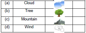 CBSE Class 2 English The Wind and The Sun Worksheet Set A1