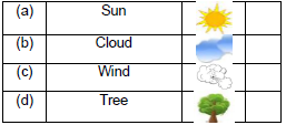 CBSE Class 2 English The Wind and The Sun Worksheet Set B1