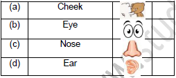 CBSE Class 2 English The Wind and The Sun Worksheet Set B2