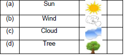 CBSE Class 2 English The Wind and The Sun Worksheet Set B4