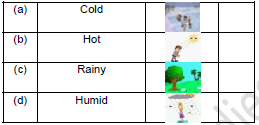 CBSE Class 2 English The Wind and The Sun Worksheet Set C1