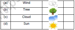 CBSE Class 2 English The Wind and The Sun Worksheet Set C3