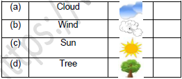 CBSE Class 2 English The Wind and The Sun Worksheet Set D3