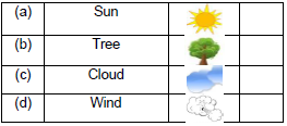 CBSE Class 2 English The Wind and The Sun Worksheet Set D4