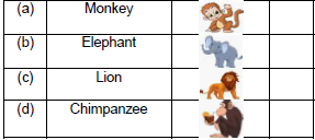 CBSE Class 2 English Zoo Manners Worksheet Set A4