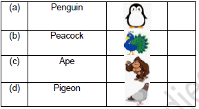 CBSE Class 2 English Zoo Manners Worksheet Set A5