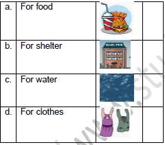 CBSE Class 3 English Nina and the Baby Sparrows Worksheet Set B4