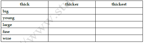 CBSE Class 3 English Practice Worksheet Dont Tell Set D