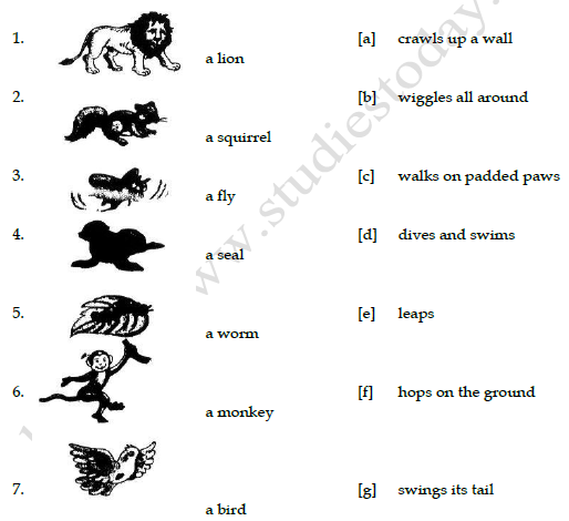 CBSE Class 3 English Practice Worksheet How Creatures Move Set A