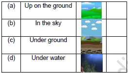 CBSE Class 3 English The Enormous Turnip Worksheet SetC5