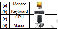 Class 1 Computer Parts of Computer Set B