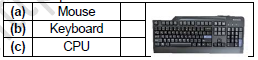 Class 1 Computer Parts of Computer Set B1