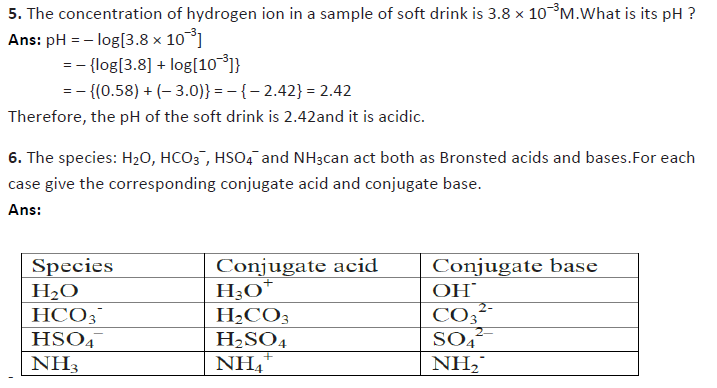 Class 11 Chemistry Equilibrium Exam Questions-5
