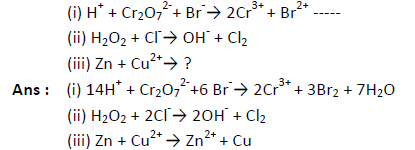 Class 11 Chemistry Redox Reactions Exam Questions-6