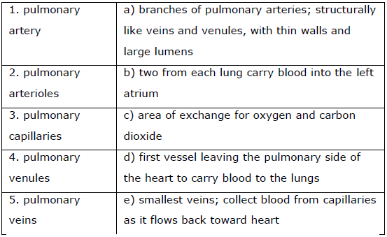 NEET Bilology-2