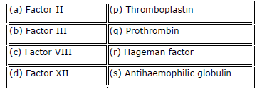 NEET Bilology-4