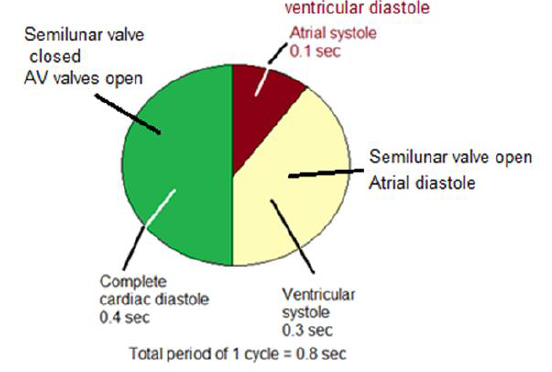 NEET Biology Body Fluids and Circulation Chapter Notes-7