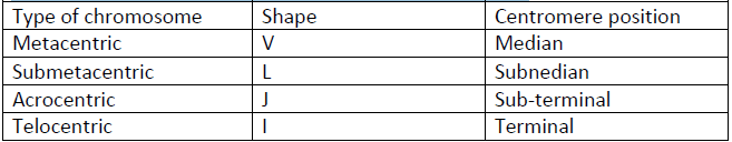 NEET Biology Cell Division Notes-5