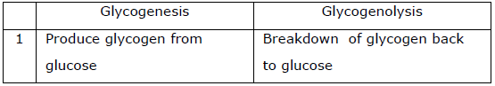 NEET Biology Digestion and Absorption Chapter Notes-19