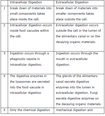 NEET Biology Digestion and Absorption Chapter Notes-21