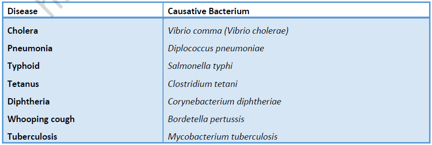 NEET Biology Health and Diseases Revision Notes