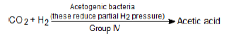 NEET Biology Microbes in Human Welfare Chapter Notes-3