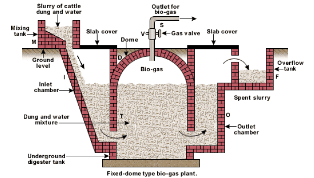 NEET Biology Microbes in Human Welfare Chapter Notes-4