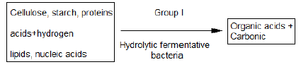 NEET Biology Microbes in Human Welfare Chapter Notes