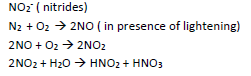 NEET Biology Mineral Nutrition Chapter Notes-1