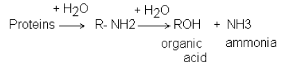 NEET Biology Mineral Nutrition Chapter Notes-6