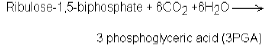 NEET Biology Photosynthesis Chapter Notes-11