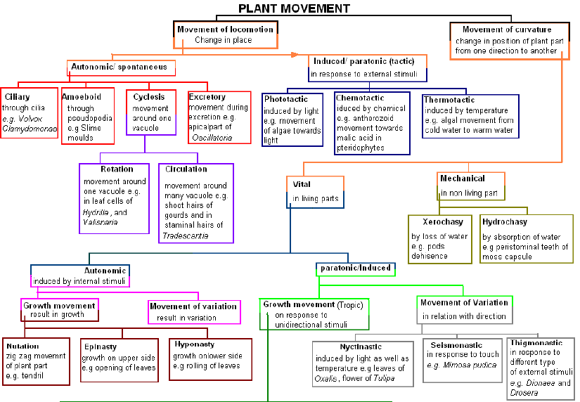 NEET Biology Plant Growth and Movement Chapter Notes-4