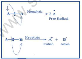 NEET Chemistry Alkanes Alkenes Alkynes and Aromatic Compounds Revision Notes Reaction18