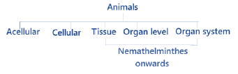 NEET Chemistry Biological Classification Revision Notes Table1