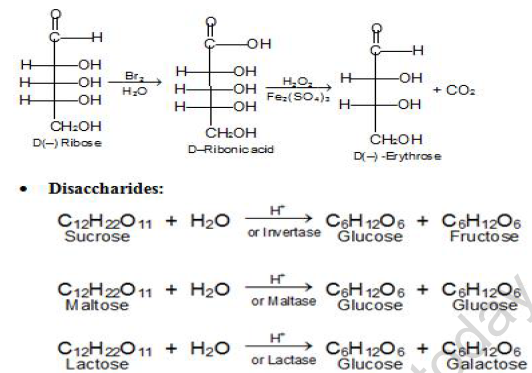 NEET Chemistry Biomolecules Revision Notes Reaction5